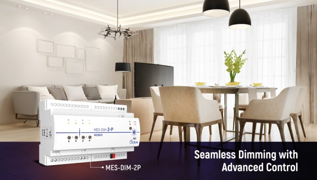 MES DIM 2P blog banner
